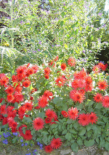 Fête Nature et Culture