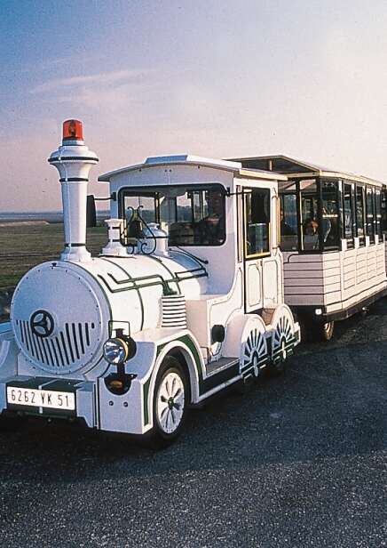 Train aux oiseaux