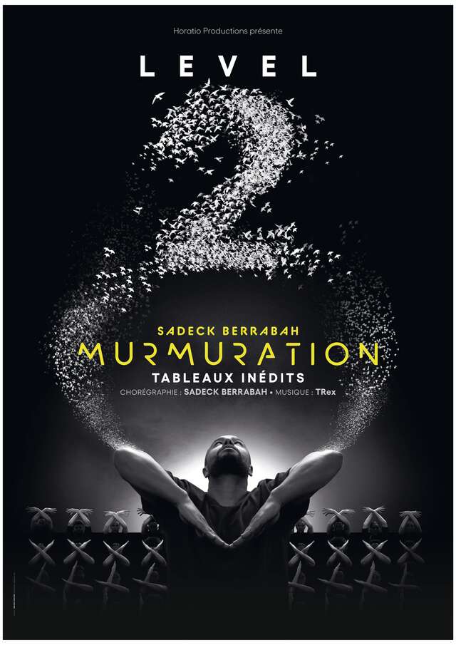 Spectacle : Murmuration - Level 2