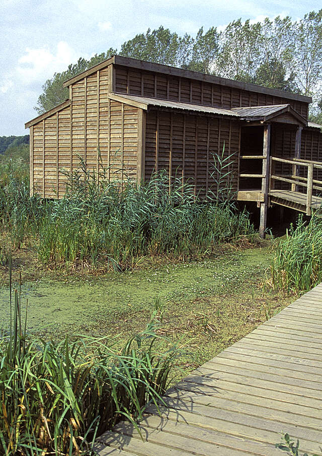 Observatoire ornithologique de l'Etang du Grand Coulon - Sud