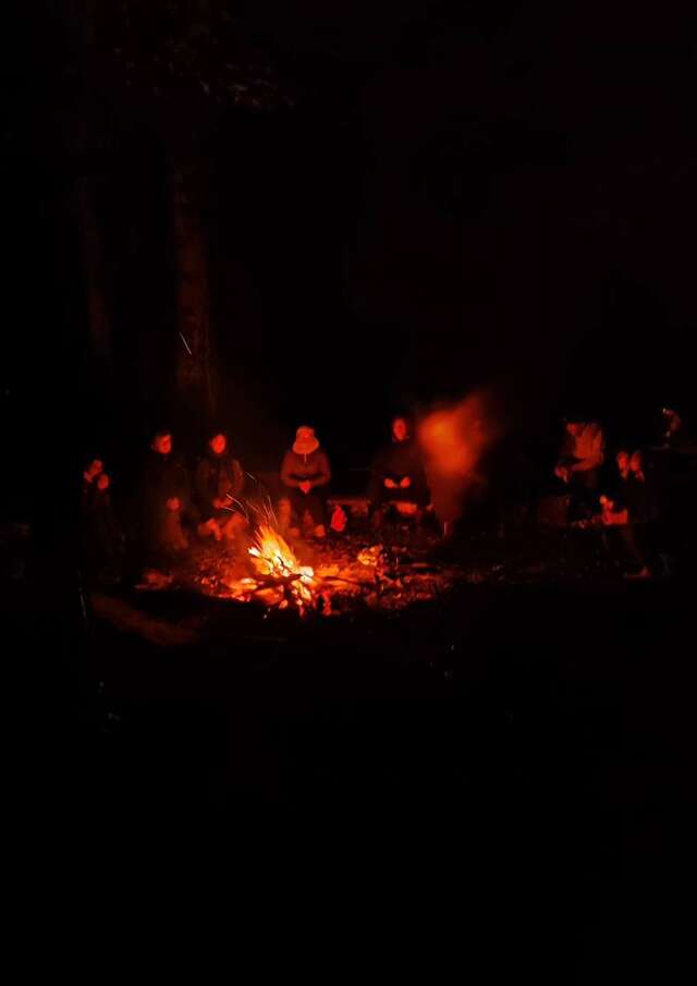 Sophro nocturne en forêt