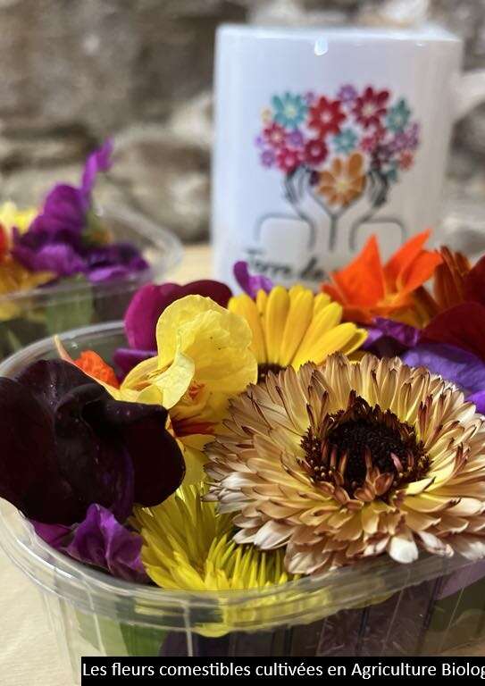 Terre de couleurs