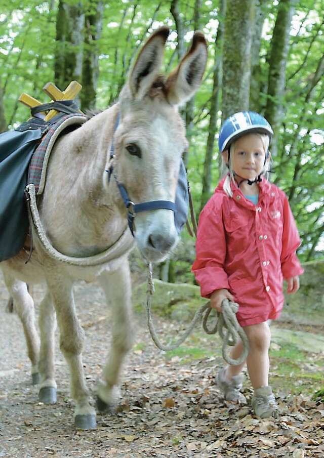 Ferme pédagogique Les Ânes de Vassivière