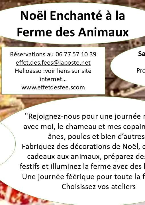 Noël enchanté à la Ferme des Animaux