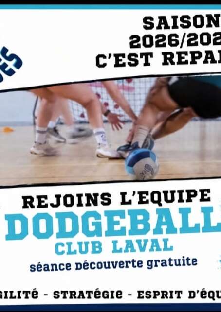 Séances découvertes de Dodgeball