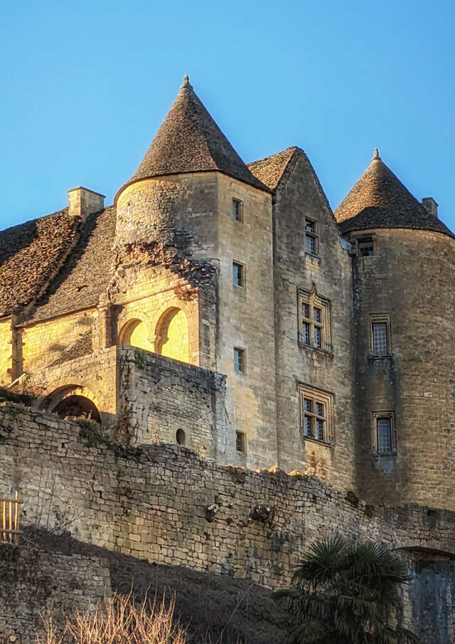 Château de Salignac