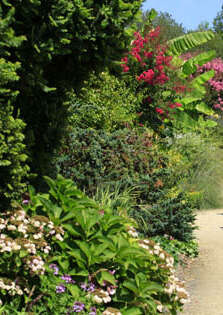 Balade pédestre "la Promenade Fleurie"