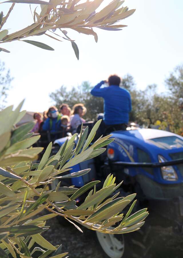 DOMAINE DE L'OULIVIE