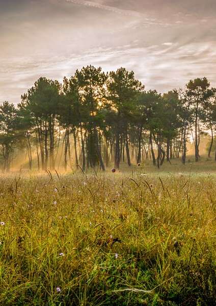 Les puys du Chinonais
