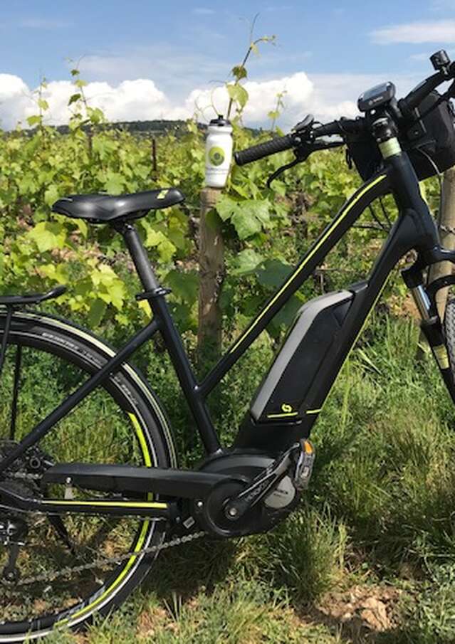 Bourgogne Randonnées