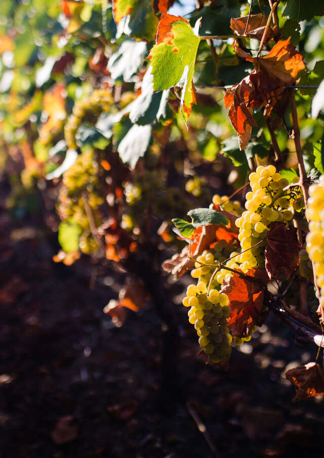 Domaine du Beauregard