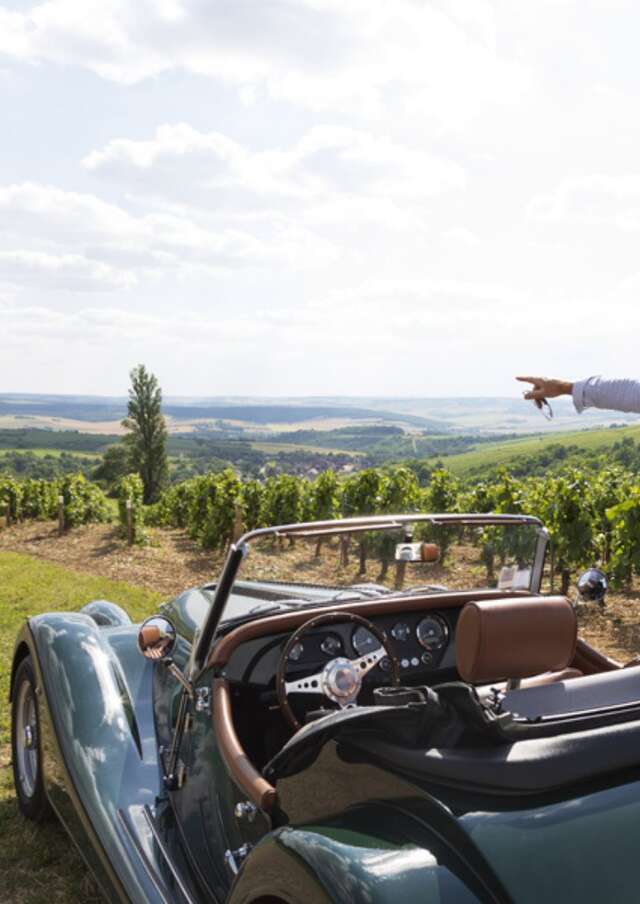 Wine Tour : Dégustation parcellaire au coeur des vignobles de Bourgogne