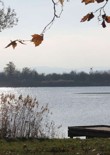 Les Etangs d'Or - Parc Eco Loisirs de Merceuil Tailly