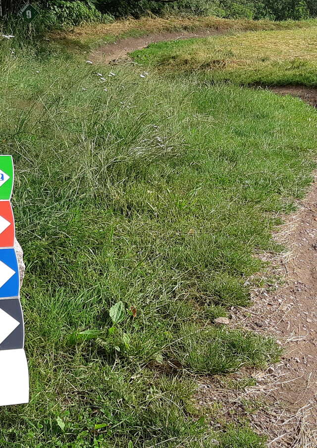 Site de piste de descente VTT