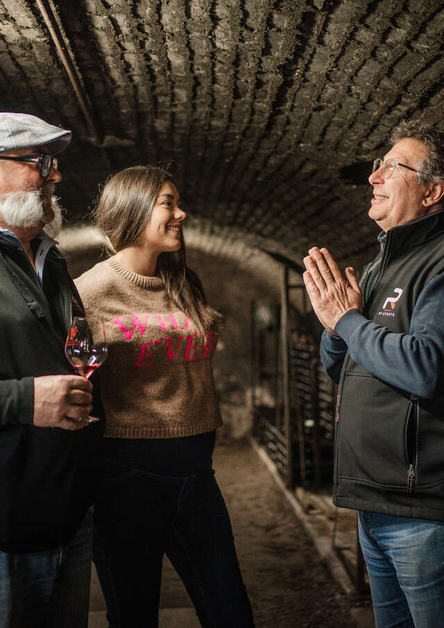 Wine Tour : Tasting dans les Grandes Maisons de Bourgogne