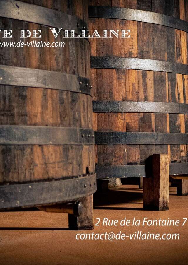 De Villaine