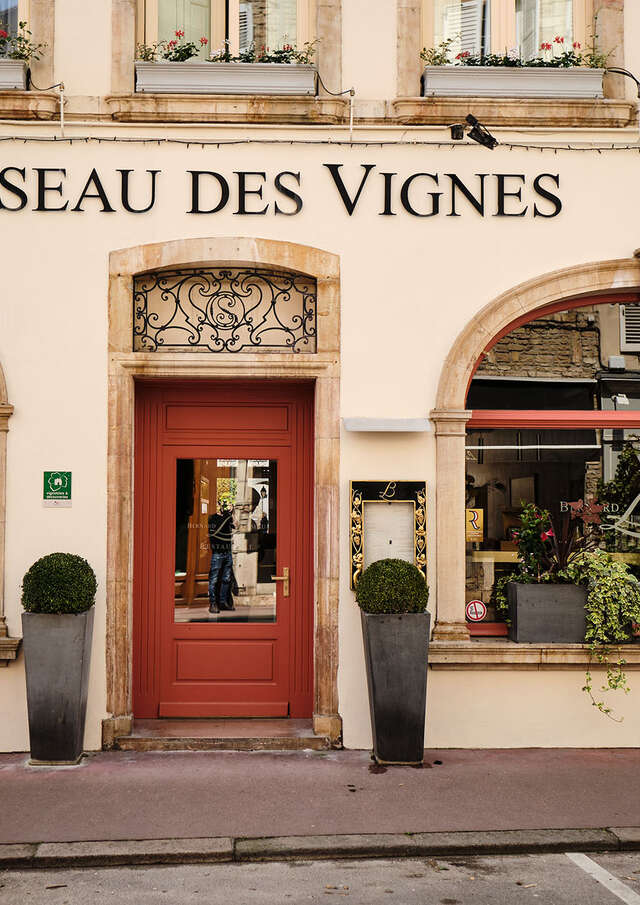 Loiseau des Vignes