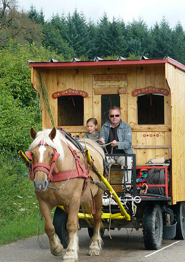 Roulottes en Bourgogne