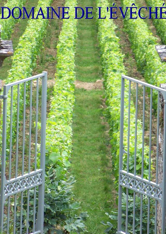 Domaine de l'Evêché - Joussier Quentin et Vincent