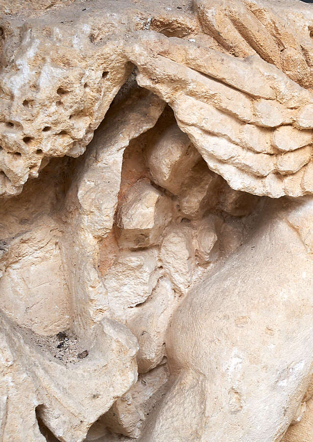 Site Archéologique d'Escolives