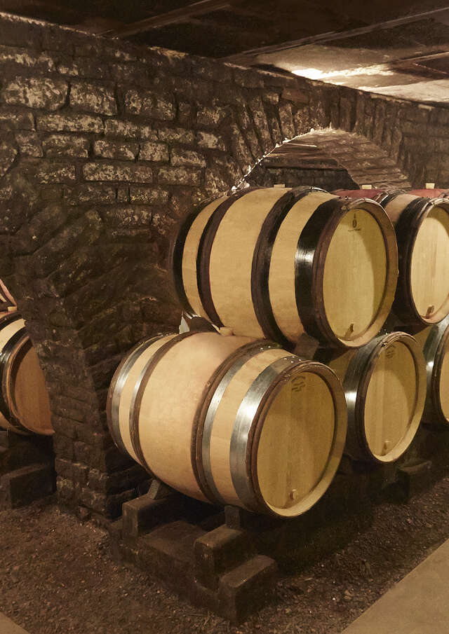 Domaine Besancenot