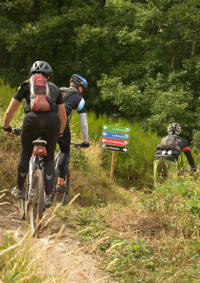 Site de piste de descente VTT