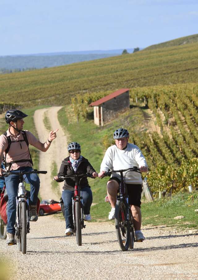 Cycle Divin