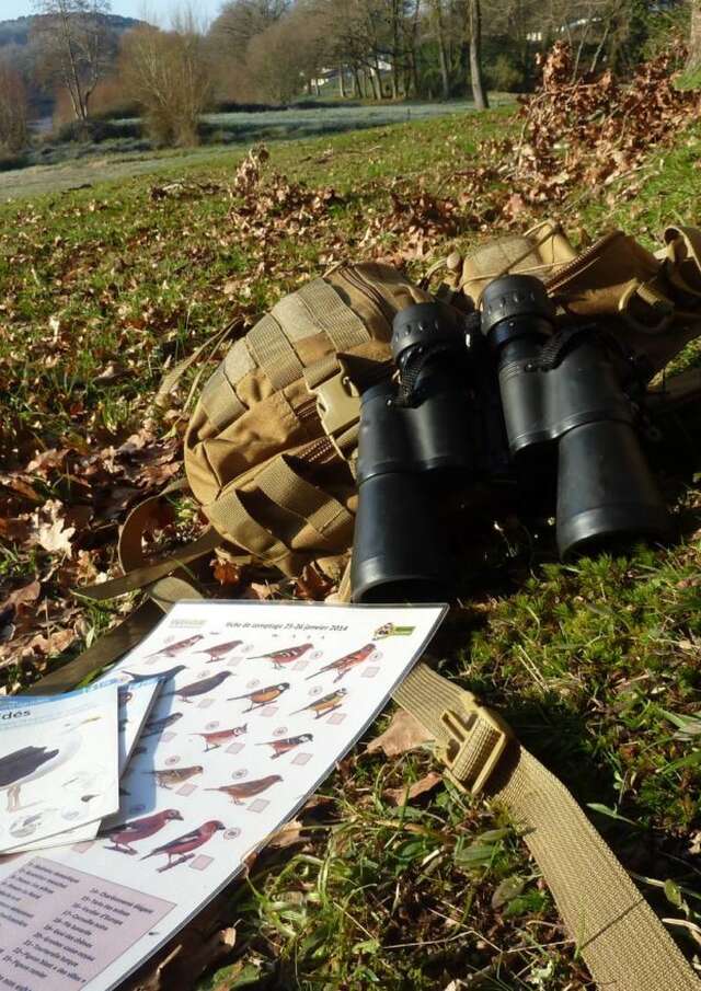 Balade découverte des oiseaux par leurs chants