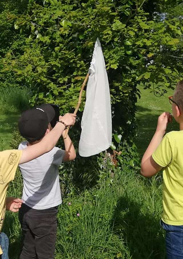 Animation nature "Les p'tits naturalistes"