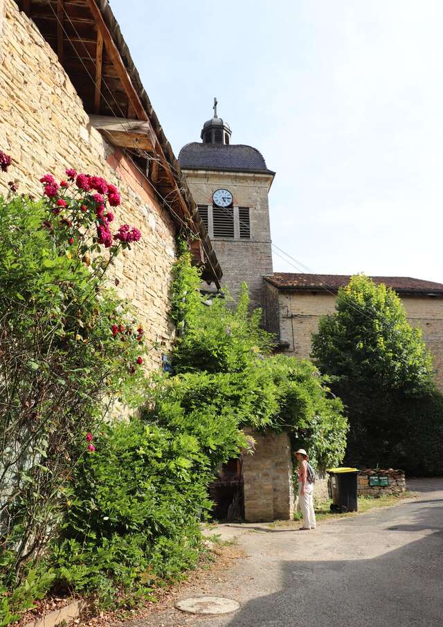 Balade découverte, Journans village de vignerons