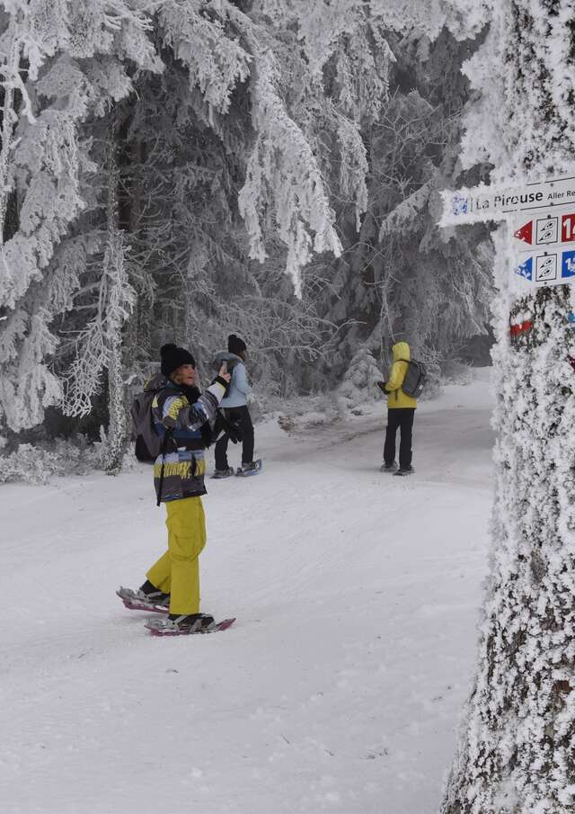 Veillées nordiques en Loire Forez