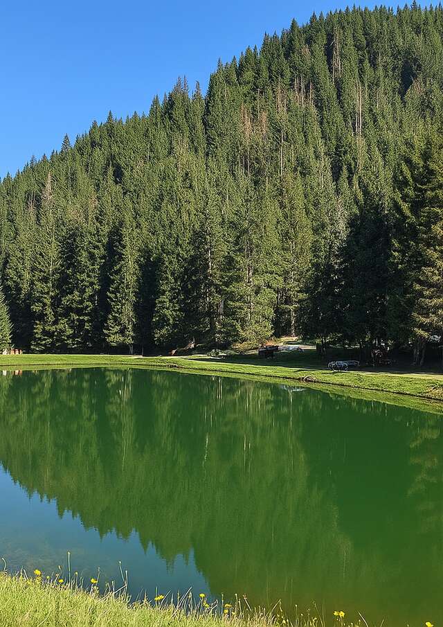 Gym douce avec Chamois Fitness