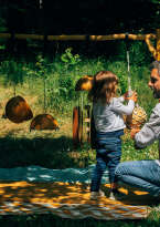 Espèce de courge :  Instrumentarium de calebasses