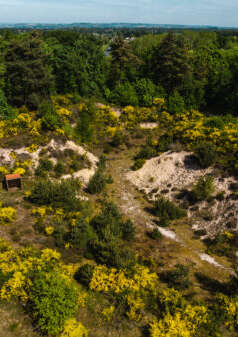 Étonnantes dunes !