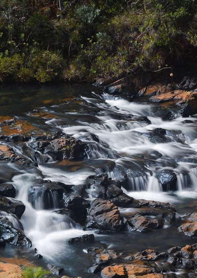 La Rivière des Pirogues