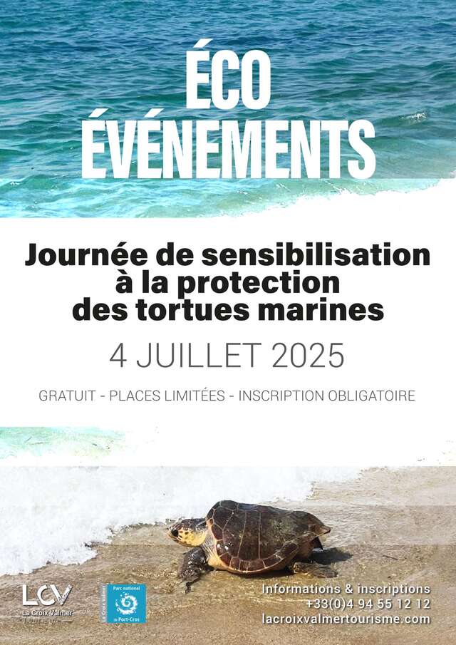Sea Turtle Day