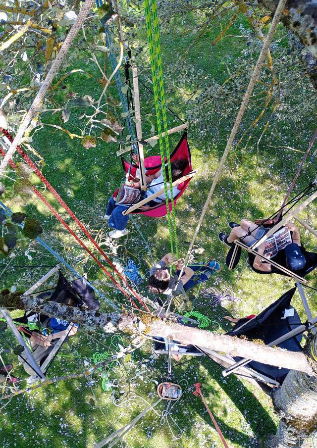 Posez vos valises auprès de nos arbres