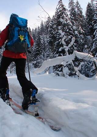 Sortie nocturne en ski de randonnée