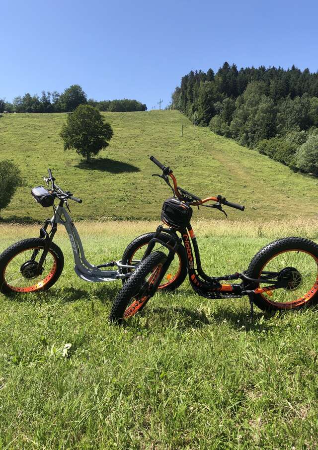 Swincars and electric scooters rental