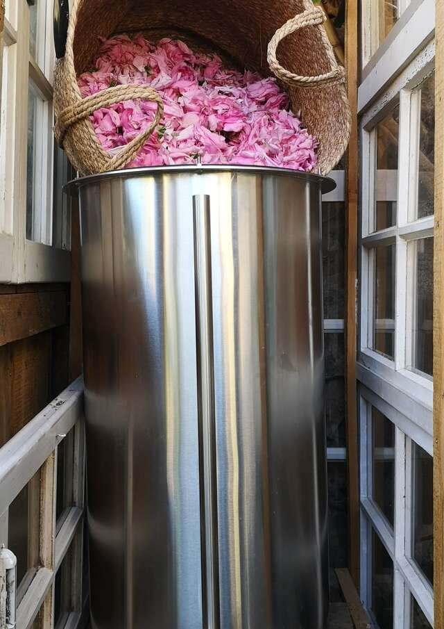 À la découverte de la rose Centifolia et du savoir-faire Grassois - Le Jardin du Petit Jas - Grasse