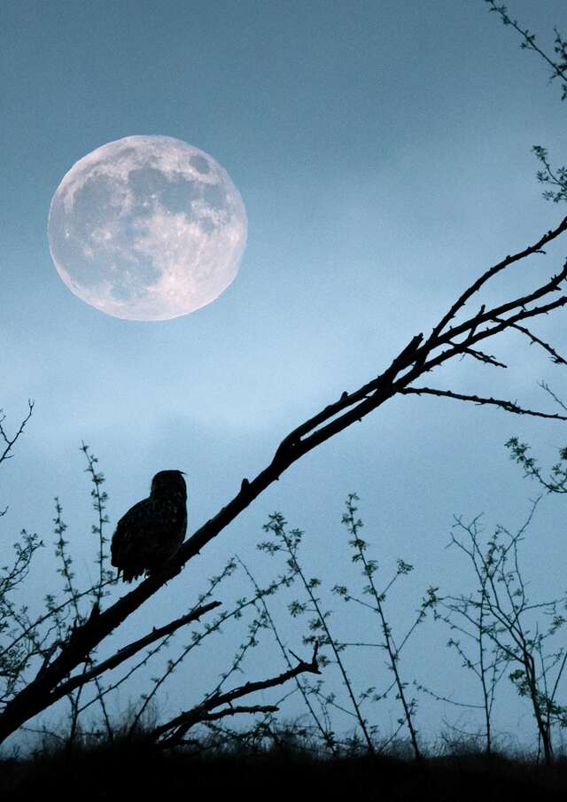 Au bout du jour, la nuit !