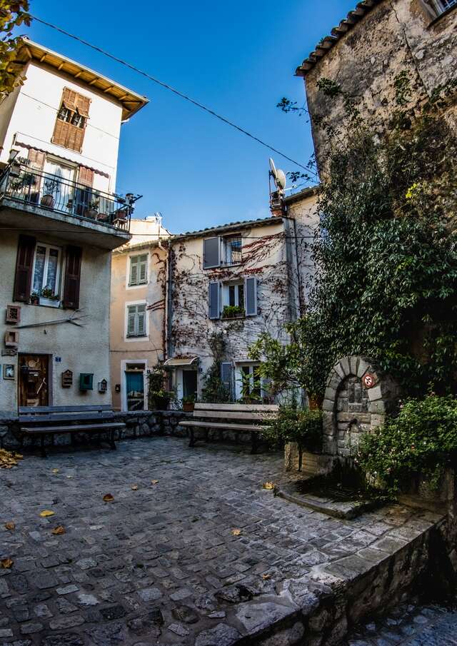 The Portal House