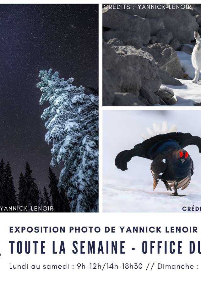 Exposition photo de Yannick Lenoir