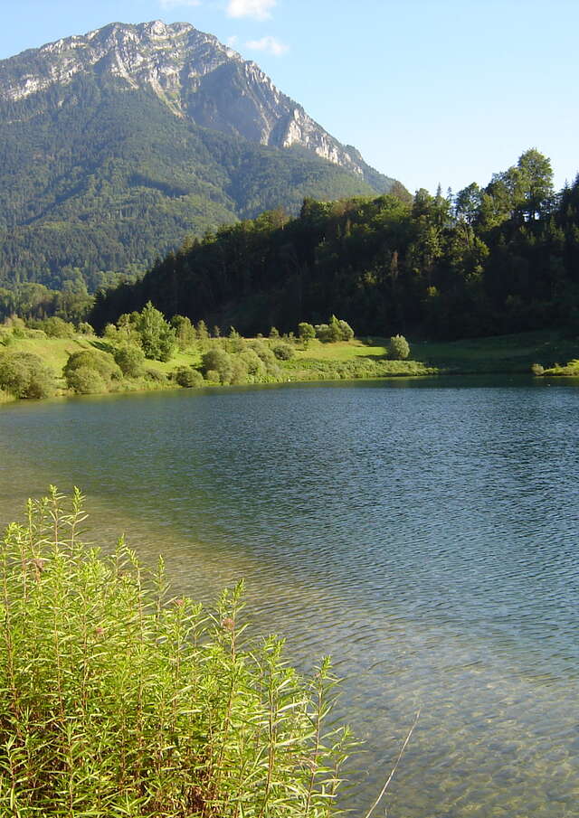 Promenade confort : Les Iles du Chéran