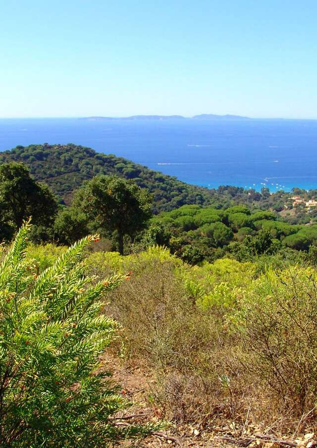 Meeting point: Mediterranean nature discovery