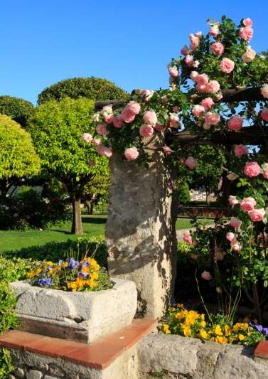 Jardin du Monastère de Cimiez