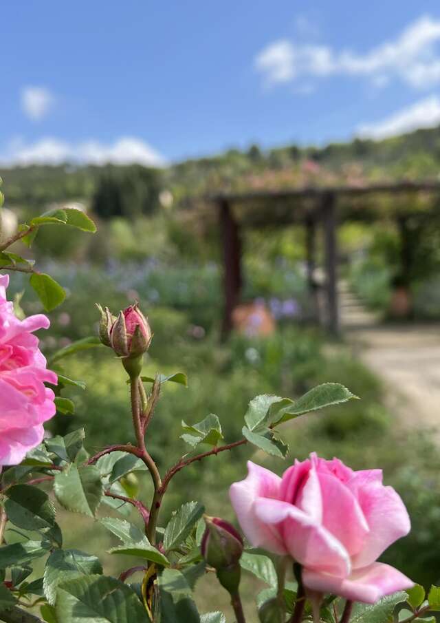 Visite guidée du jardinier