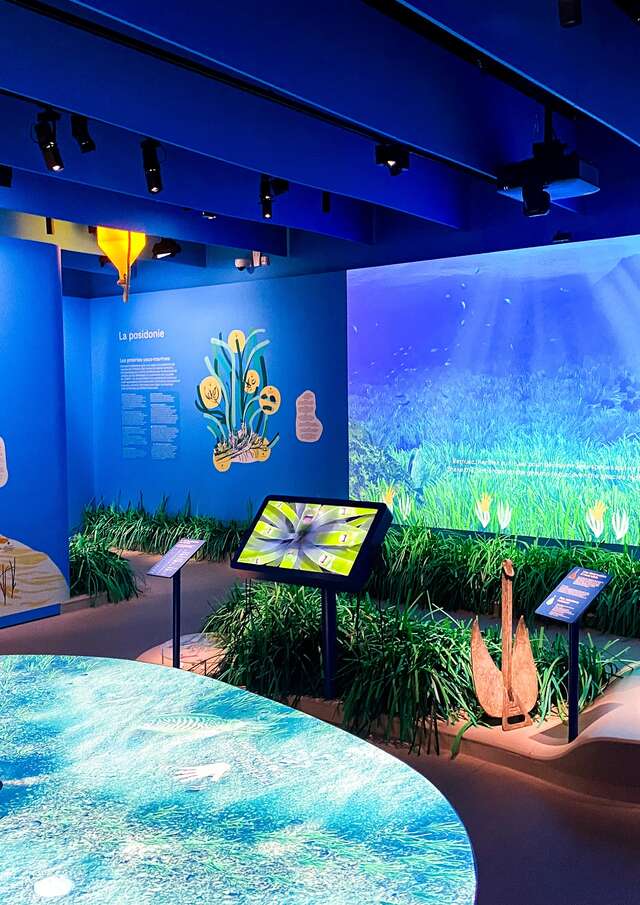 Posidonia - Espace Mer et Littoral