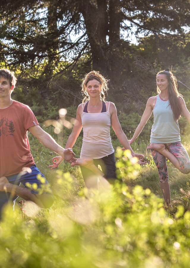 Initiation au yoga