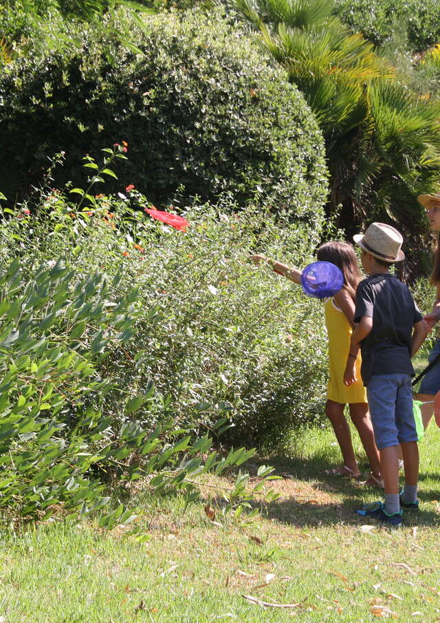 Children's activity "The little beasts of our gardens"